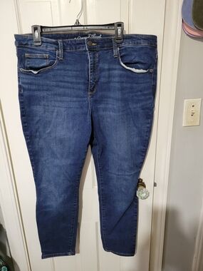 Universal Thread Women's Skinny Jeans in Dark Blue Wash